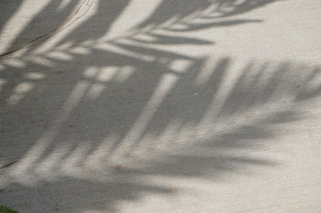 Ready. Set. Go. Bring On&nbsp;2019!