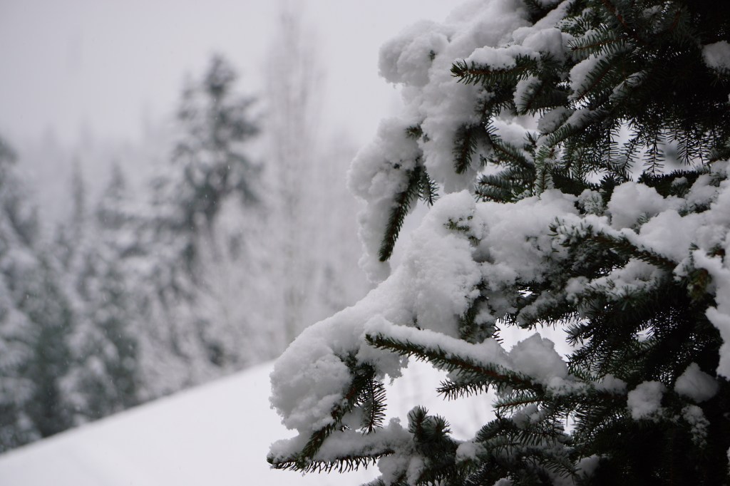 The Year of Creativity and Clarity,&nbsp;2020.