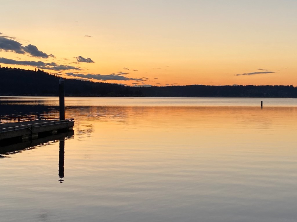 Quarantine Chronicles: New Reality. New&nbsp;Pace.